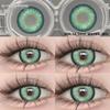 Eyeshare 1pair LOIRE Brown Color Contact Lenses Grey Colored Contact Lens Softlens Valid for 6 Months