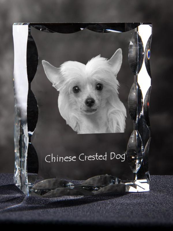 Chinese Crested Dog, Puff - crystal with a picture of a dog, glass statuette with a picture, unique frame with a picture from Art-Dog brand
