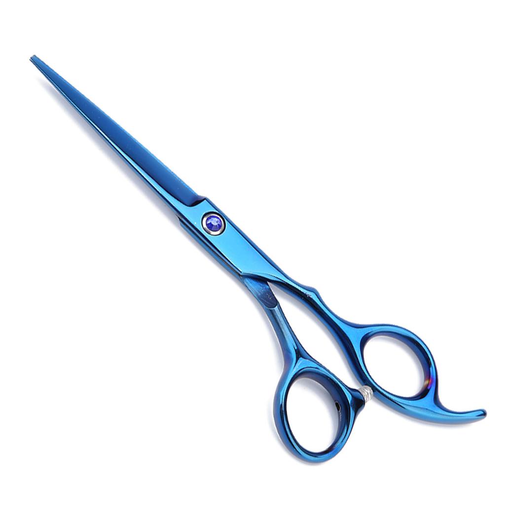 Ciseaux de coupe professionnels pour poils de chien, ciseaux de toilettage, ciseaux de coiffure bleus