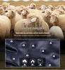 Cross-Border Winter Unisex Rivet Sheepskin Leather Gloves
