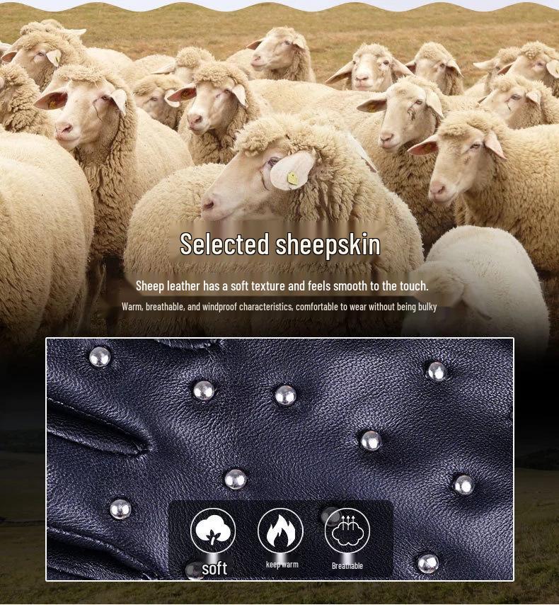 Cross-Border Winter Unisex Rivet Sheepskin Leather Gloves