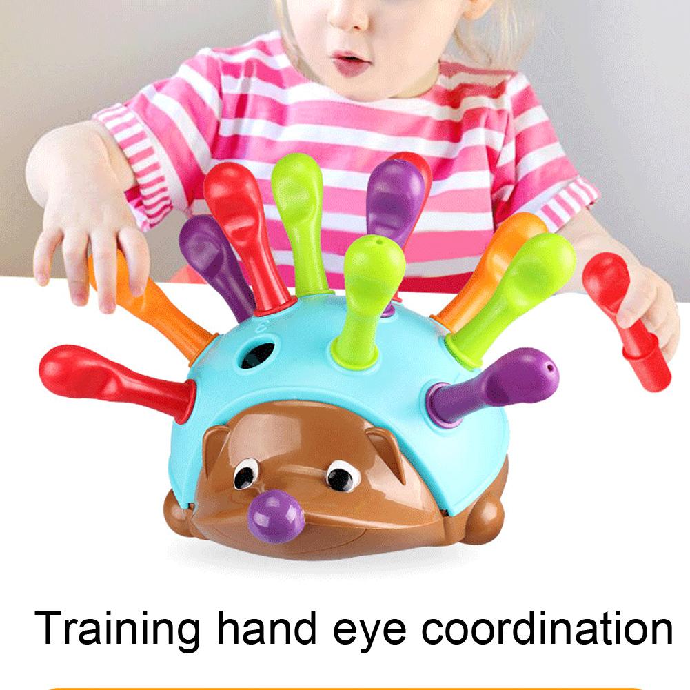 Insert Hedgehog Toy Hand Eye Coordination Children Educational Cognitive Game Toy(Insert Hedgehog )