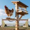 Chicken Perch for Coop Brooder Accessories,Fun Toy,Poultry Stand Sturdy Chick Gym Wooden