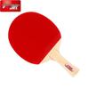 DHS Beginner Table Tennis Racket Set Type I