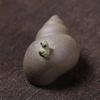 Purple Sand Tea Pet Water Spray Frog Snail Small Ornament Handmade Snail Tea Set Tea Tray Sculpture
