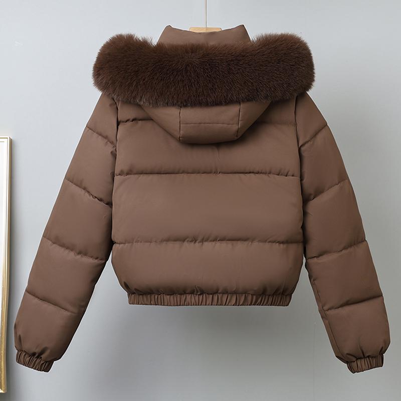 Fashion Winter Coat Female Short Parkas Hooded Faux Fur Collar Loose Thick Warm Women's Jackets