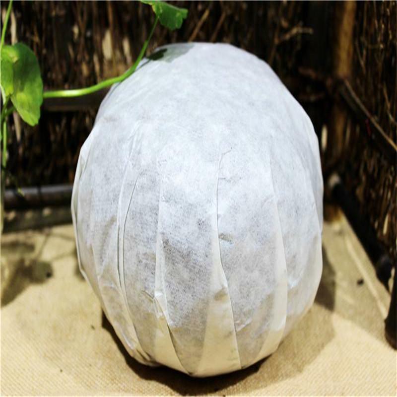 1000g Raw Pu Erh Tea Yunnan Organic Puer Tea Gold Melon Tribute Tea Healthy Food