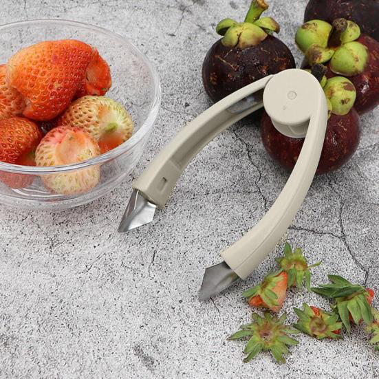 Strawberry Stem Remover Stainless Steel Pineapple Eye Remover Easy To Use Durable Reusable Fruit Tool