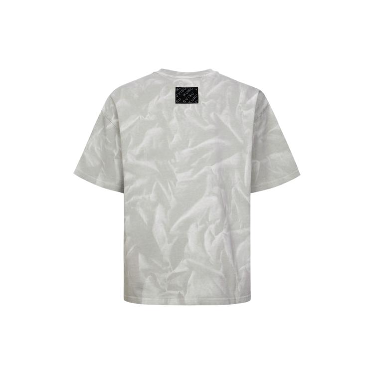 Evisu T-Shirts Men's Crew Neck Moderate Straight Fit 2ESGNM4TS5144LFCT