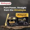 Baidyanath Himalayan Shilajit Resin 20g Natural Energy Booster for Strength, Power and Stamina