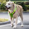 Lightweight Waterproof Dog Harness With Dual-Strap Design Reflective Safety Strip Adjustable Fit Medium To Large Breeds