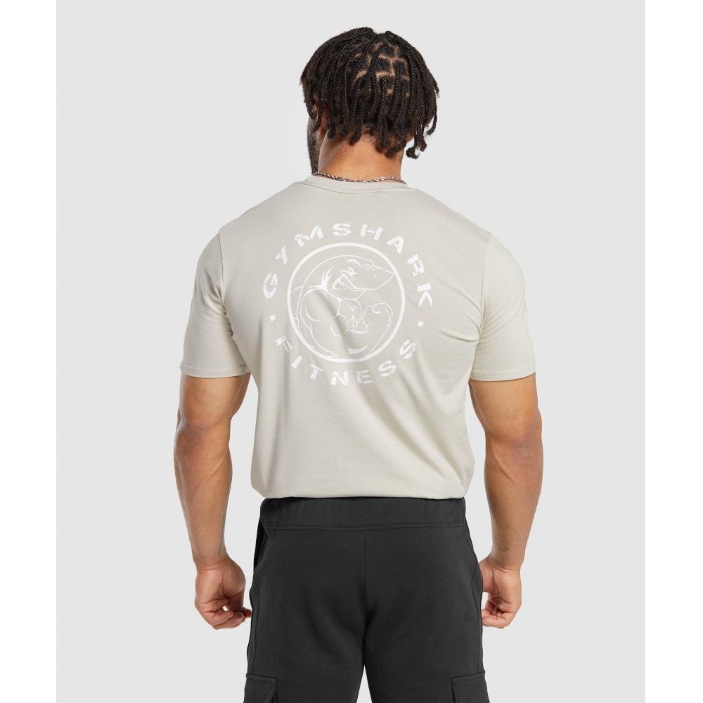 

Футболка GYMSHARK Legacy Серая галька A5A3B GB7P S