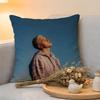 Cushion Cover  Linen  SkinFriendly Soft Decorative Case For Sofa Home Decor Hot Chill Singer LLauv Pillow cover