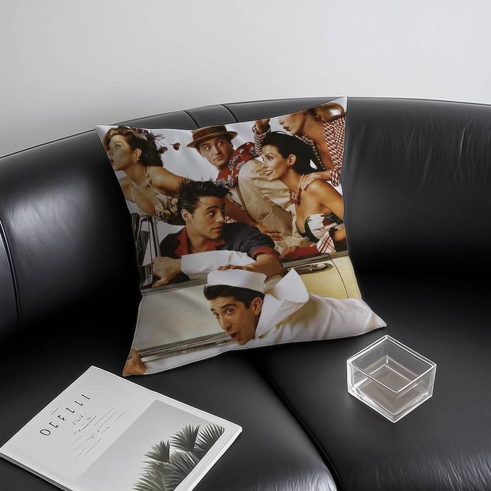 Anime F-Friends Pillow Case Anti-dustmite Invisible zipper Sofa Bed