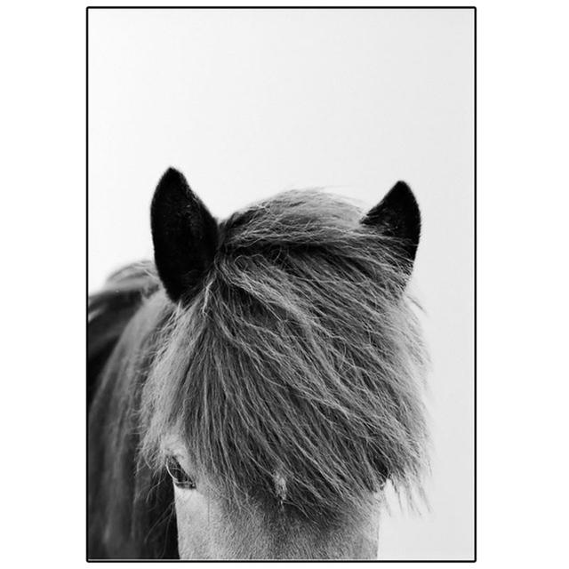 Minimalist Wall Art Canvas Icelandic Horse Posters Black White Prints Farmhouse Rustic Painting Modern Pictures for Living Room