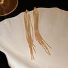 Silver Needle Metal Fringe Geometric Earrings European and American Niche Cold Wind Earrings Fashion Advanced Versatile Earrings