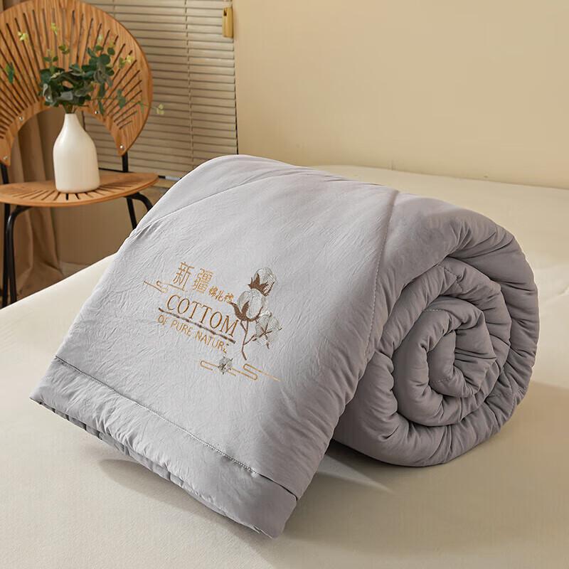 DZQ Xinjiang Cotton Washable Summer Quilt