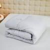 Bijiaman BGM-B2550 Warm Washed Cotton Winter Quilt