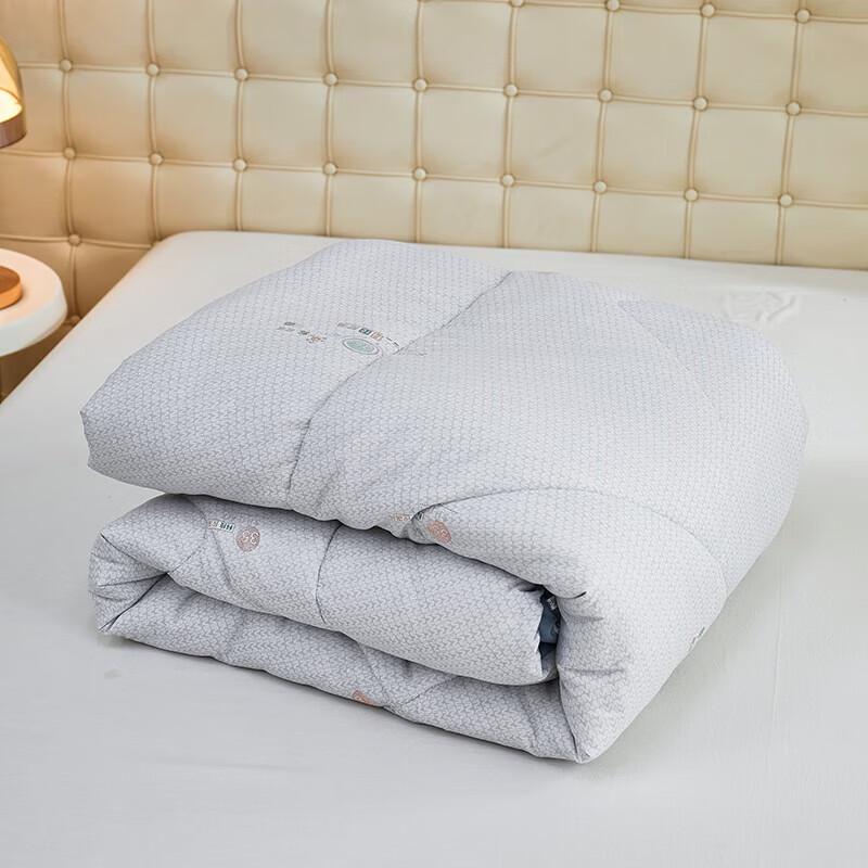 Bijiaman BGM-B2550 Warm Washed Cotton Winter Quilt