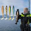 7Pcs Fishing Lure for Trout Walleye Swim Baits Fishing Lures Paddle Tail Swimbaits Artificial Baits for Saltwater