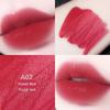 Women's Team Peach Pink Lipstick Matte Velvet Lipstick Long-Lasting Fadeless Pink Genuine Goods Niche Style Brand Peach Pink