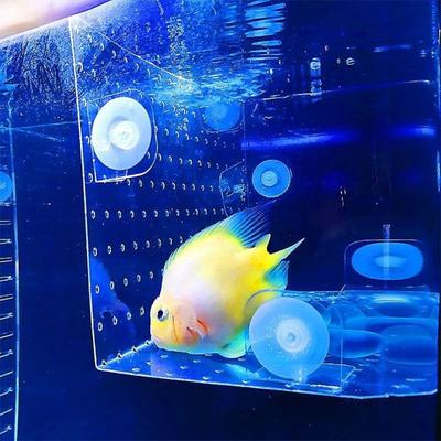 Bendable Fish Tank Isolation Plate Transparent Acrylic Divider with Suction Cup  Fish Tank