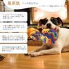 Enkarl Pet Nosework Toy Training Durable Food Treat Separation Anxiety and Chewing Dog Training Chew Exercise Equipment for Dogs and Cats Toy, Ball,