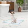 Set of 100 6-Layer Non-Woven, Paper, and PE Dog Toilet Pads, 45x60 cm, Blue and White
