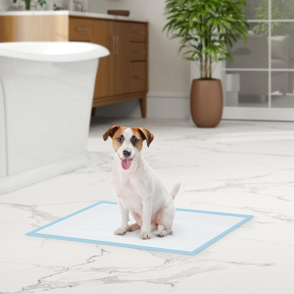 Set of 100 6-Layer Non-Woven, Paper, and PE Dog Toilet Pads, 45x60 cm, Blue and White