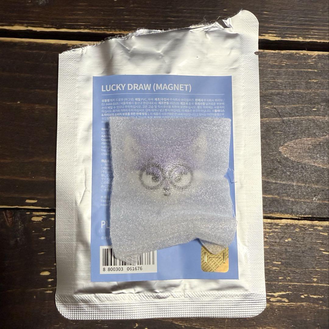 

[USED] Seventeen MINITEEN Magnet Wonwoo Poddongi