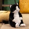 New Style Lazy Cat Doll, Plush Toy Cat, Gift Doll