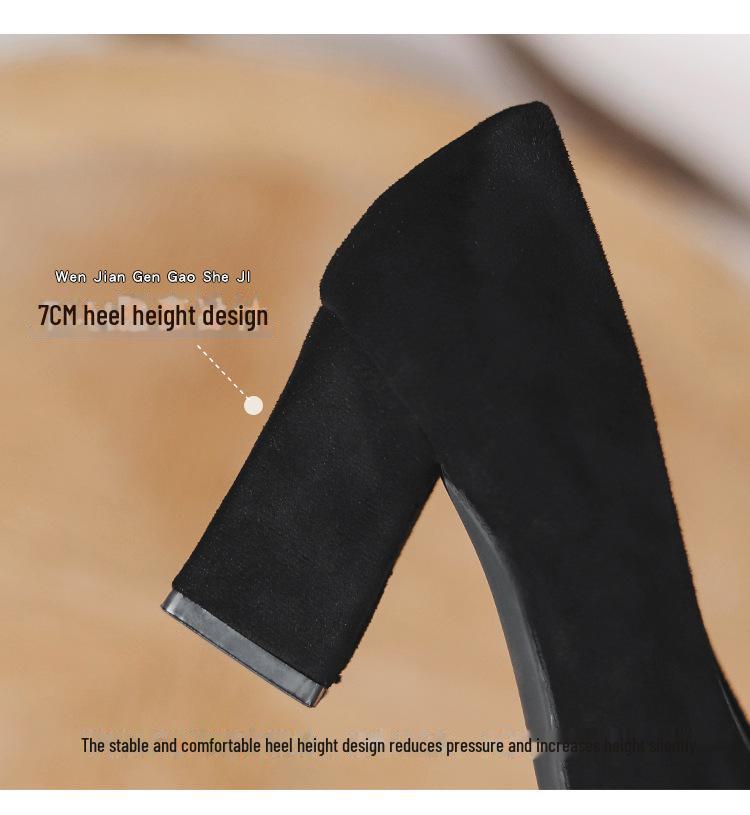 Women's French-Style Suede High Heels: Spring/Autumn 2024, Black, All-Match, Thick Heel, Shallow Mouth