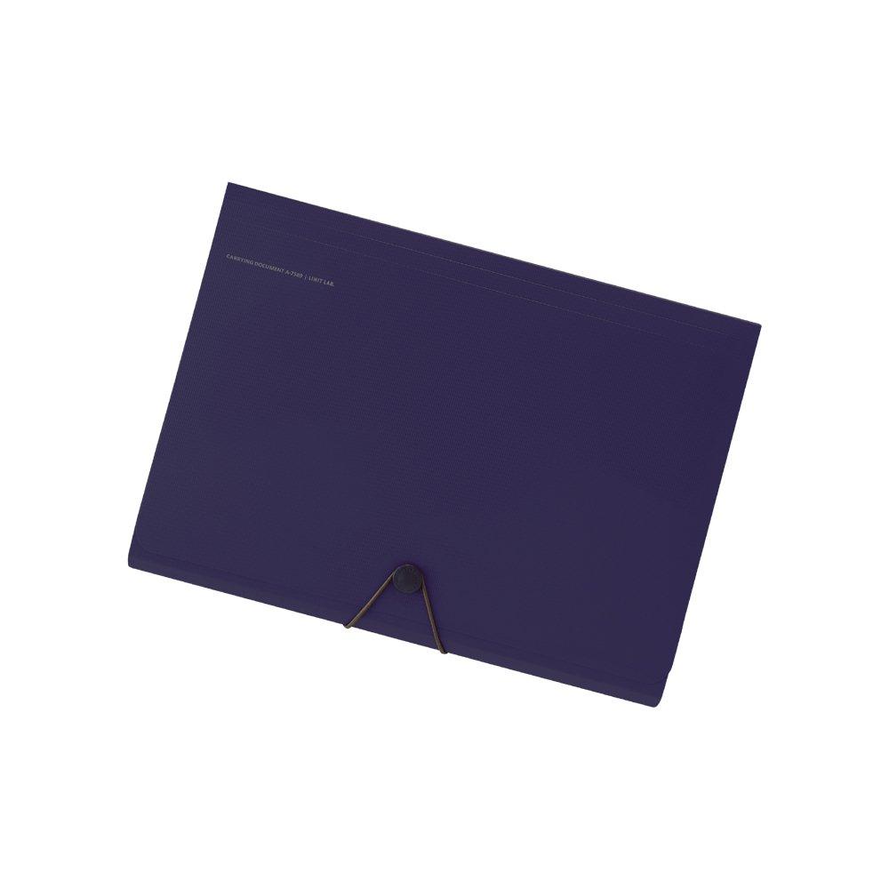

LIHIT LAB Carrying Document Smart Fit A4 Navy 6-Pocket A7589-11