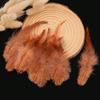 50Pcs Real Chicken Rooster Feathers 7-15cm For DIY Wedding Gown Decorations Handmade Home Crafts Projects