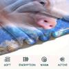 Pig Print Flannel Blanket, High quality Comfortable for All Seasons, Home Decor, Warmth and Comfort, Perfect for Christmas Gifts