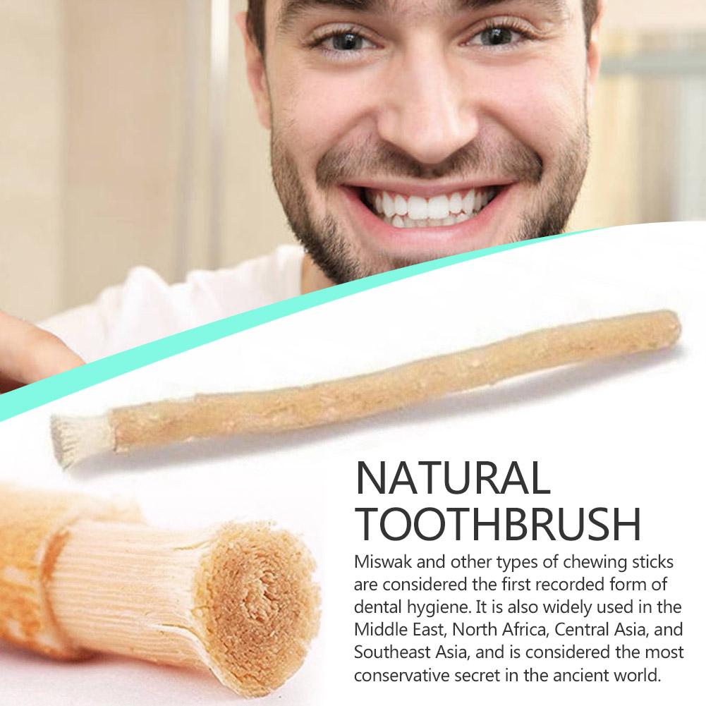Natural Miswak Siwak Toothbrush Traditional Manual Teeth Whitener Soft Travel Middle Eastern Oral Care Tool Daily Use