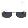 AMN1 For Tesla Model 3 Model Y Model S Model X Cybertruck Roadster Car High-end Men Women Outdoor Fashion Sunglasses Driver's Goggles