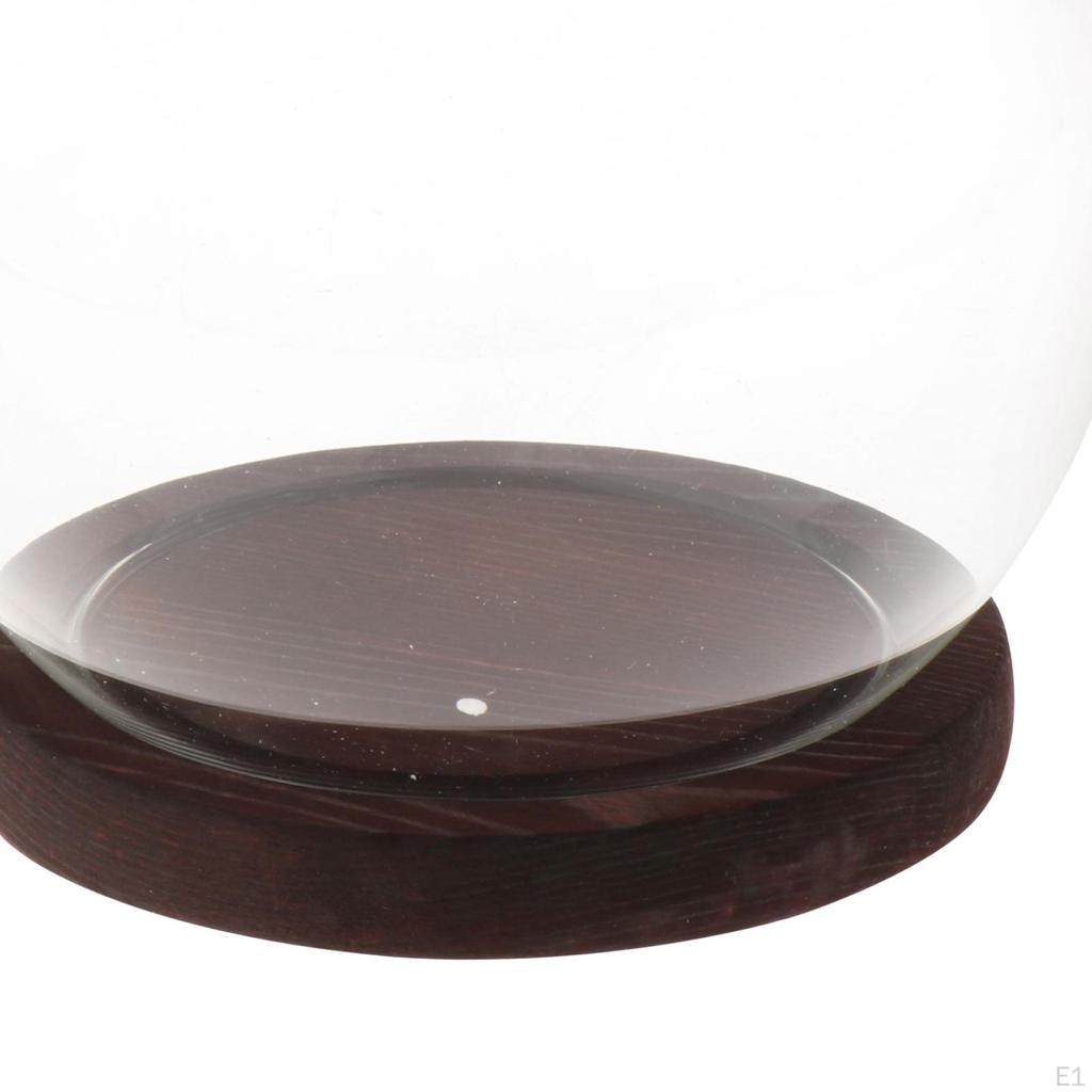 Glass Dome with Base Display DIY Valentines Day Gifts Showcase Decor Decorative