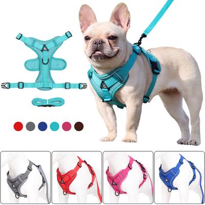 Puppy Dog Harness Vest and Leash Set Adjust Nylon Cat Harness Reflective Breathable Mesh Pet Chest Straps for Small Medium Dogs