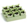 Dual-Purpose Germination Kit 9 Deep Cells Sprout Plate Propagator  Greenhouse Growing