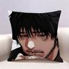 LLookism Manhwa  Doublesided print Pillow Case for Sofa Living Room Home office Decor Protective Cover