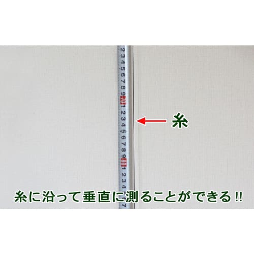 Niigata Seiki SK Down Shake 100g PLB-100