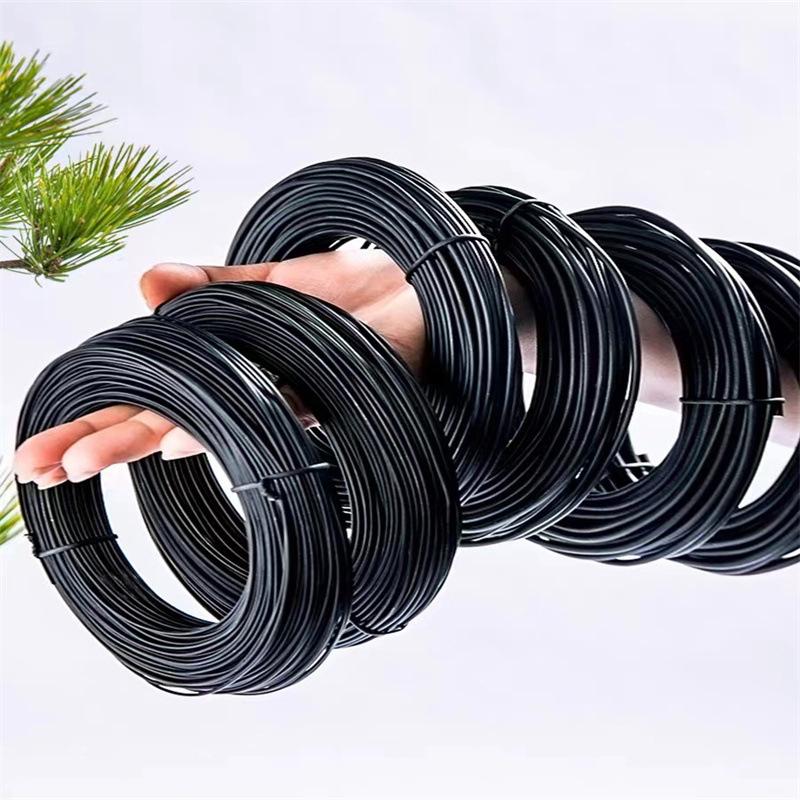 

10M Bonsai Wires Aluminum Bonsai Training Wires Modeling Orchard and Garden Tools Plant Diy Shape Accessories 1Mm-3Mm Home Use 1mm чорний