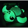 My Little Shell Plush Turtle Luminous Natural +/- 25 Cm - JEMINI - Charges with Light, Works Without Batteries.