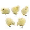 Plush Chicken Doll Stuffed Animal Easter Day Festival Simulation Chick Toy Soft Doll Early Education Kids Party Favor