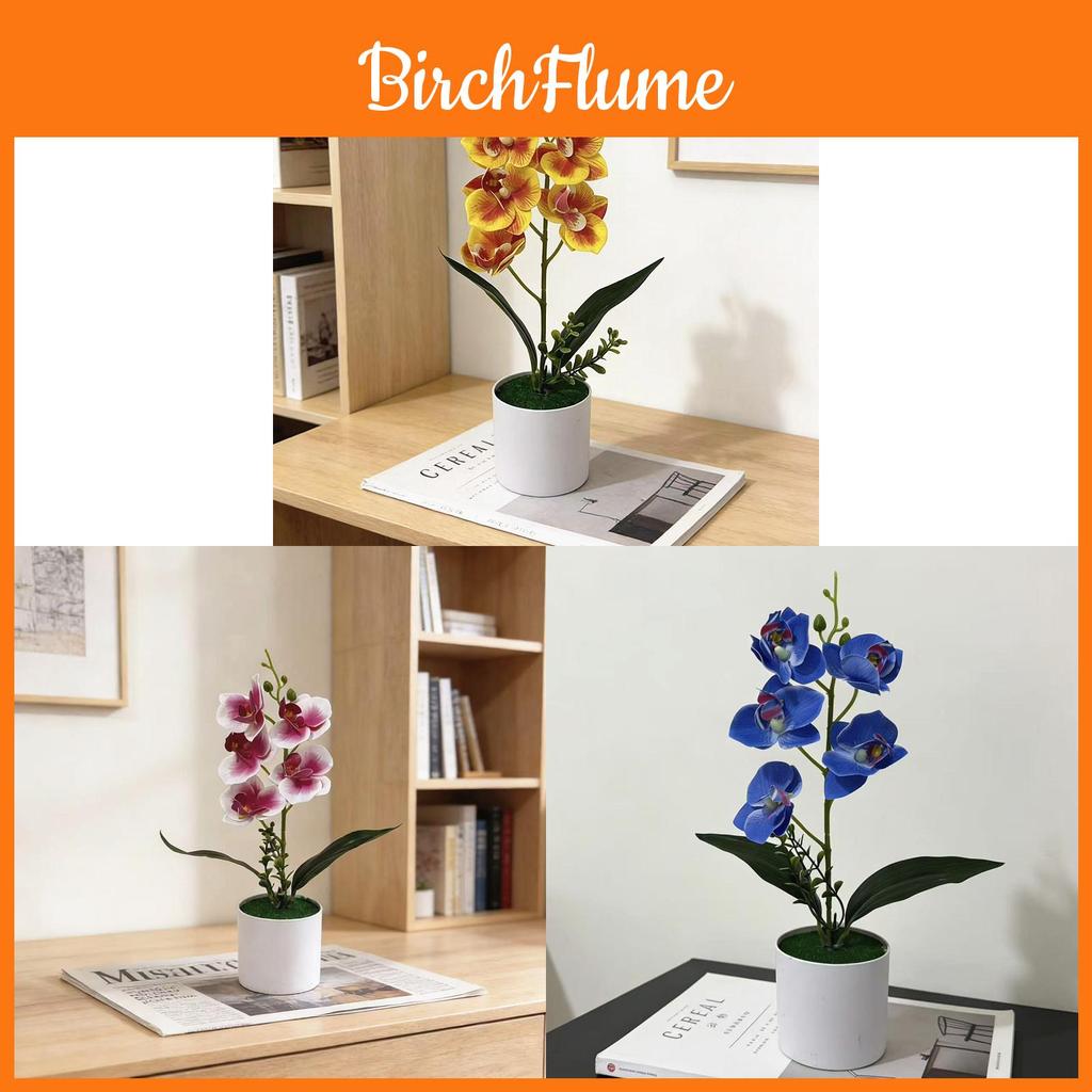 No Ip Artificial Orchid Plant With Plastic And Soft Gel For Home Decor And Photography Props