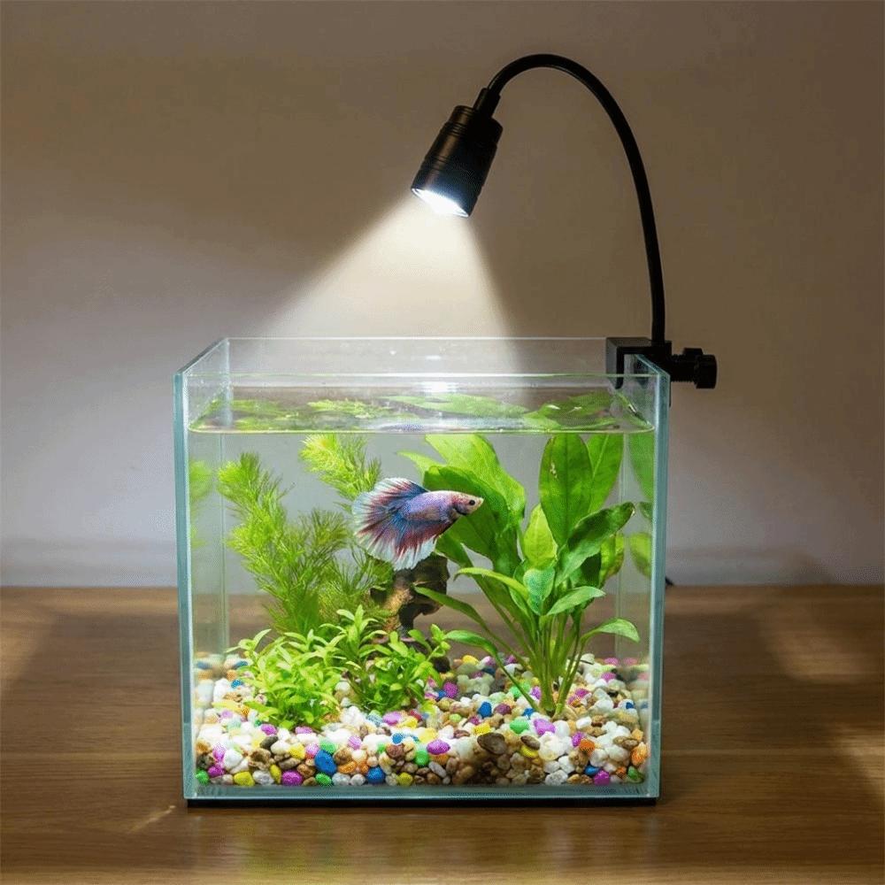 Variable Focus Fish Tank Clip Lamp Aluminum Zinc Zinc Alloy Aquarium Viewing Light South American Fish Tank