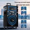 Newmine N550 12-inch Portable Outdoor Bluetooth Speaker (CN Version)