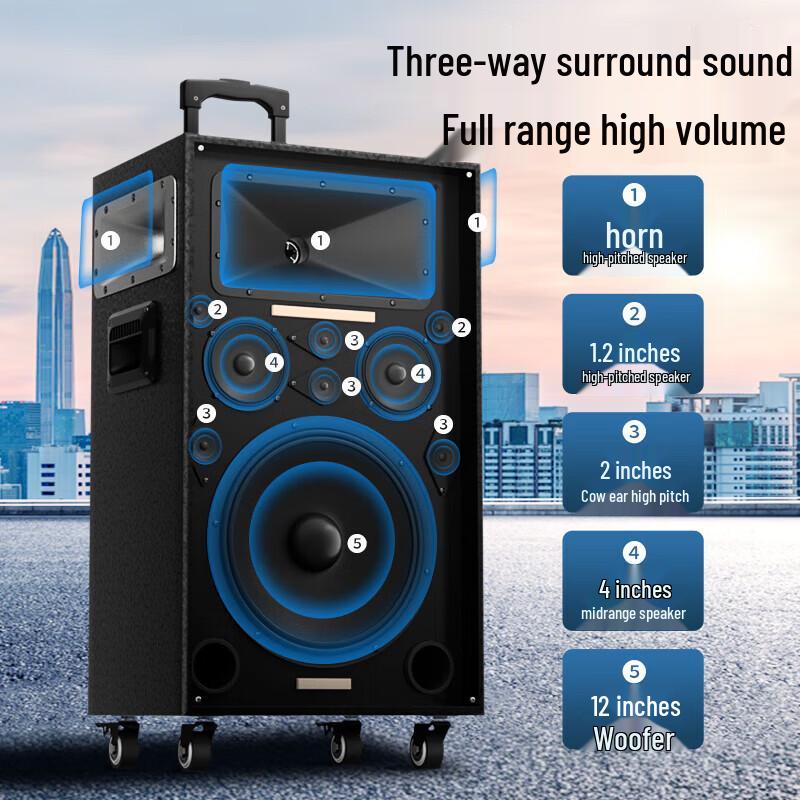 Newmine N550 12-inch Portable Outdoor Bluetooth Speaker (CN Version)