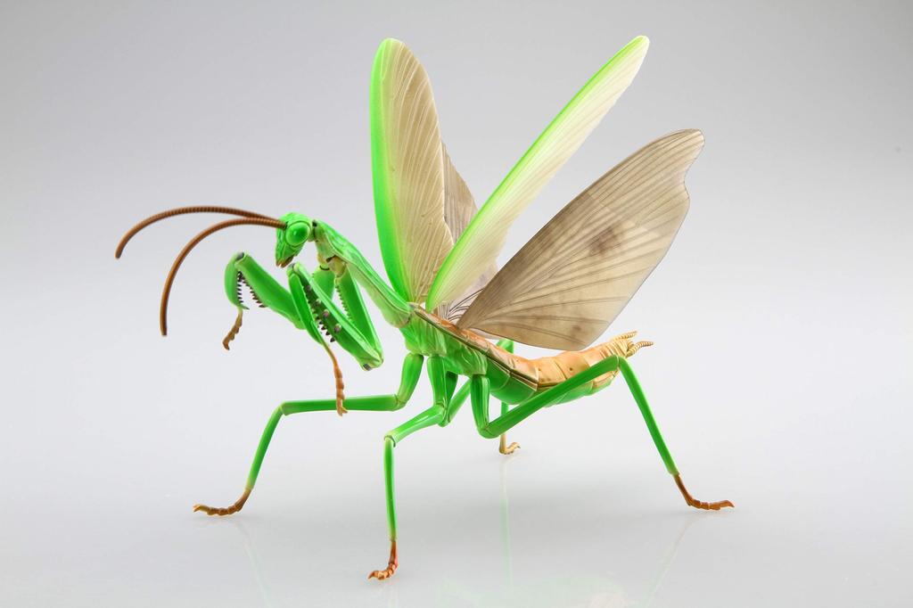 Seria de Cercetare Gratuită Creaturi Uriașă Mantisă Rugăcioasă Modelul plastic Nr.23